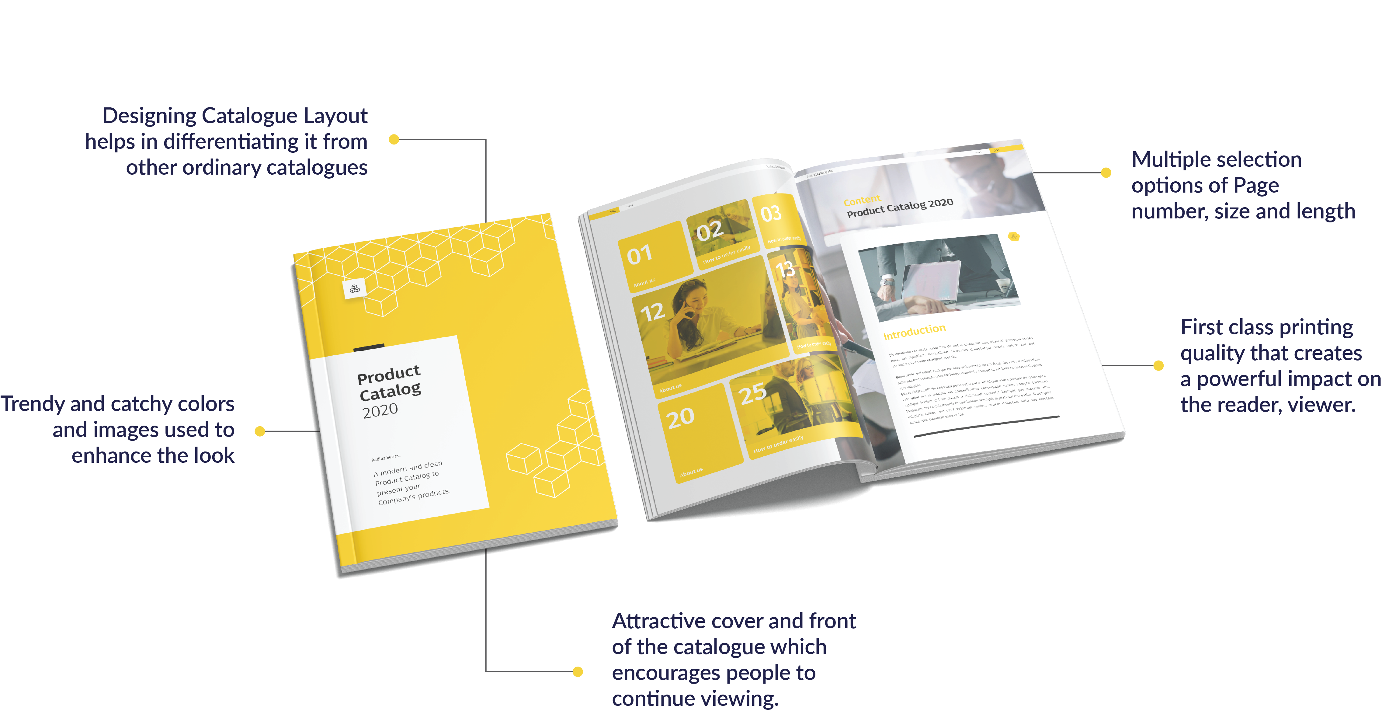 Catalog Design